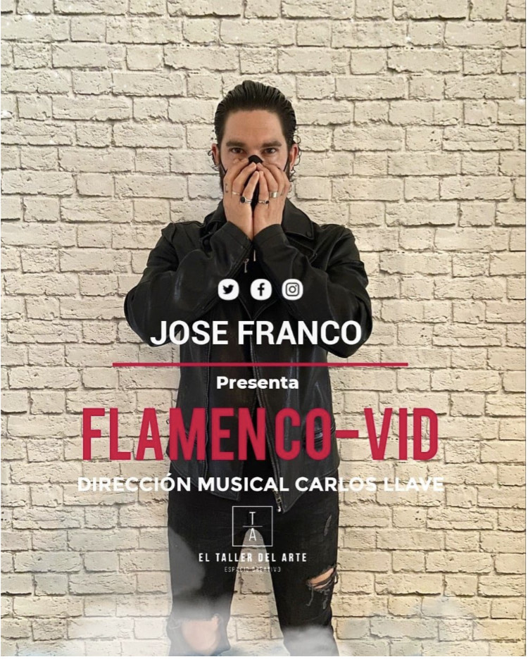Flamenco-VID